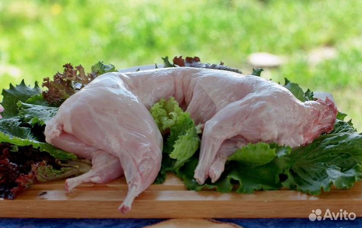 Мясо кролика продам