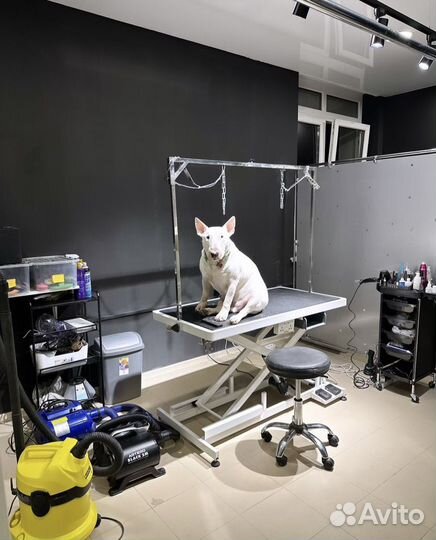 Стрижка собак и кошек, груминг