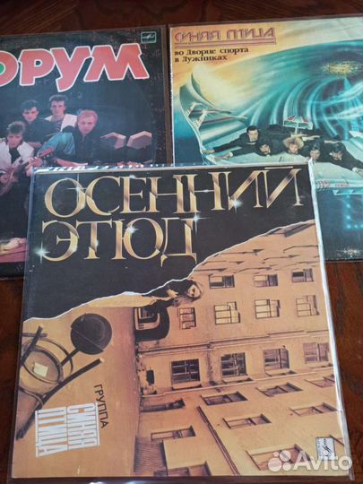 Виниловые пластинки