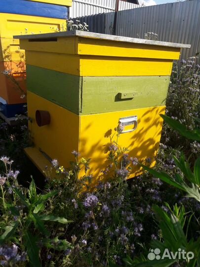 Ульи для пчел бу дадан