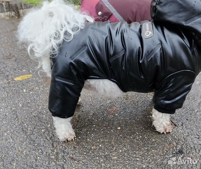 Зимняя одежда для собак мелких пород