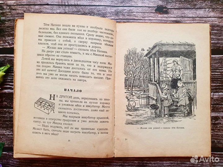 Носов. Веселая семейка 1950 г