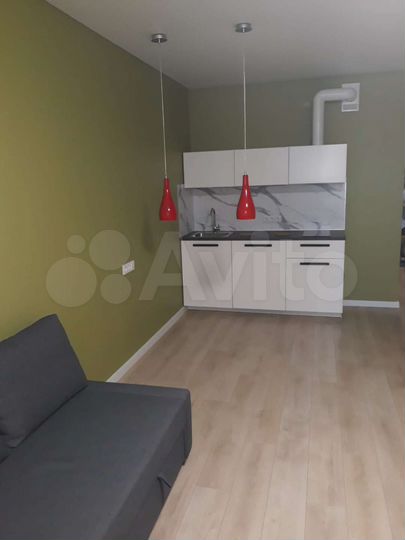 Квартира-студия, 33,2 м², 14/24 эт.