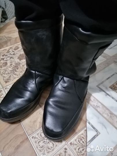 Обувь Сапоги