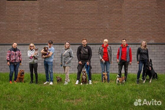 Дрессировка собак, Передержка, Кинолог