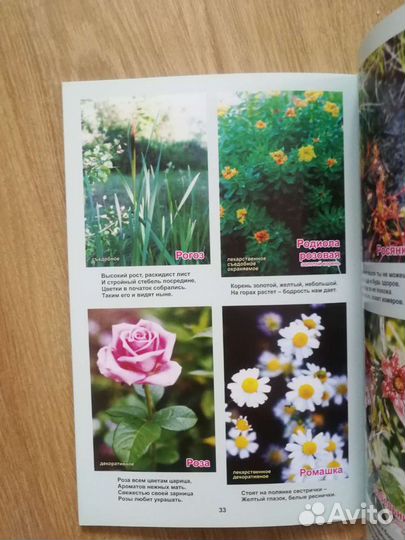 Книги о лекарственных и дикорастущих растениях