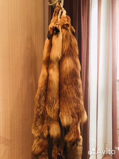 Шкуры лисы
