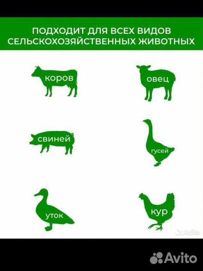 Корма для животных