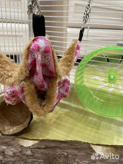 Клетка для хомяка со всем необходимым