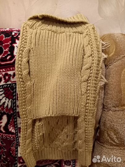 Одежда для собак