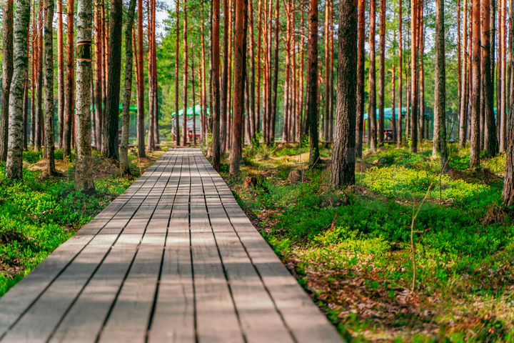 Участок 9 сот. (СНТ, ДНП)