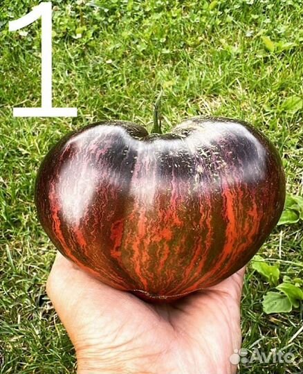 Семена экзотических помидоров