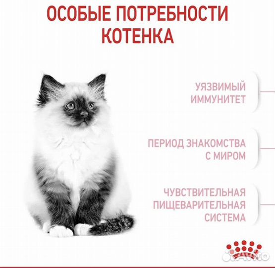 Сухой корм для котят с 4 месяцев Royal Canin