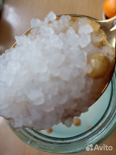 Индийский морской рис