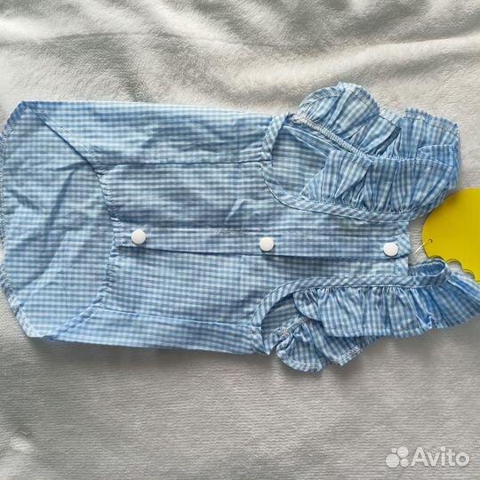 Одежда для маленькой собачки