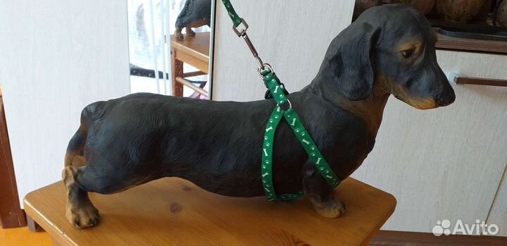 Шлейка для собаки
