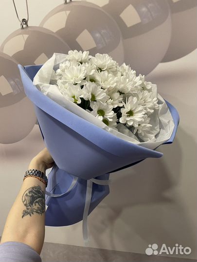 Хризантема ромашка букет подарок живые цветы