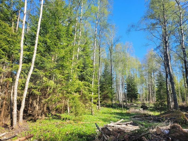 Участок 8 сот. (ИЖС)