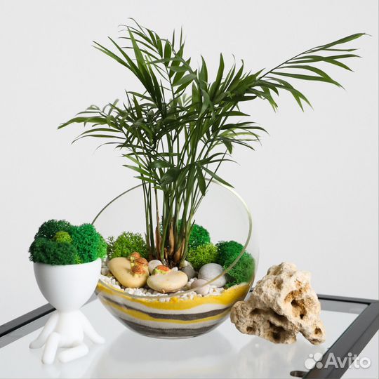 Флорариумы