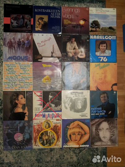 Виниловые пластинки