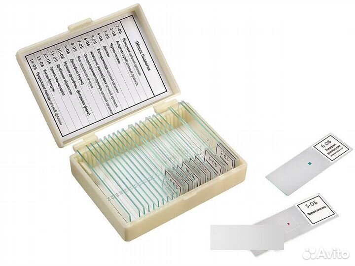 Набор готовых препаратов Микромед Общая биолог