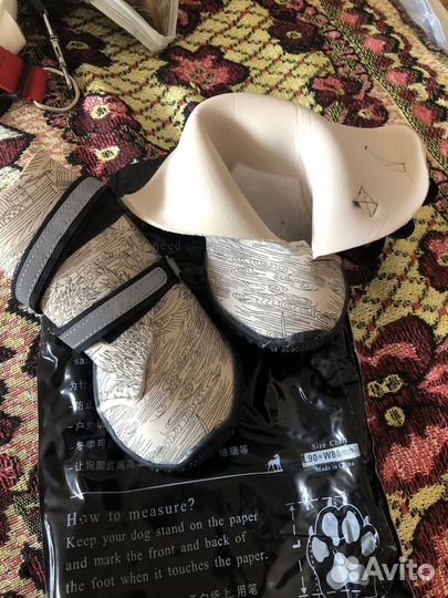 Ошейник дождевик кофта удавка рулетка