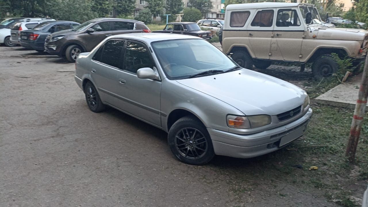 Toyota Corolla: фото владельца