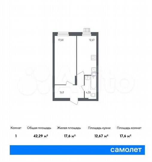 1-к. квартира, 42,3 м², 1/12 эт.