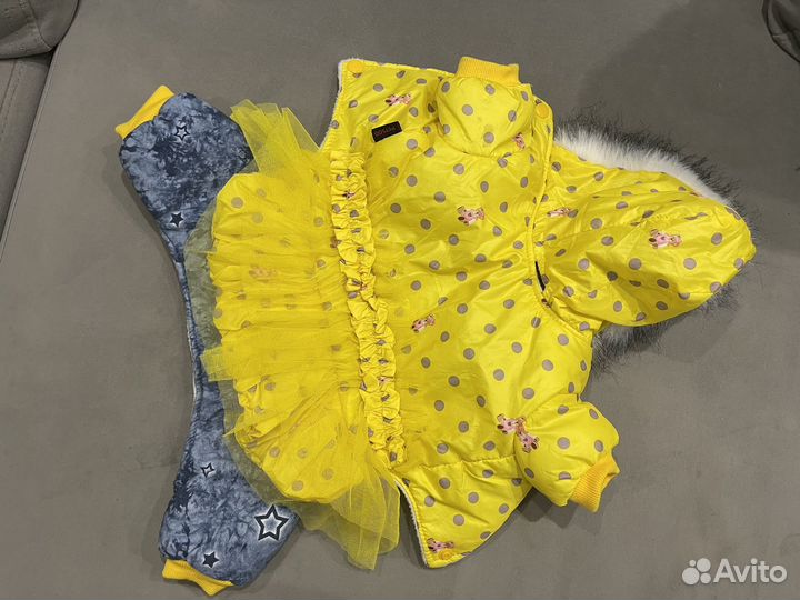 Одежда для маленьких собак