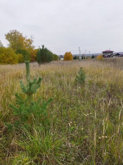 Участок 1,16 га (ИЖС)