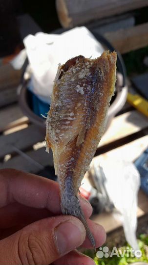 Игрушечная рыбка