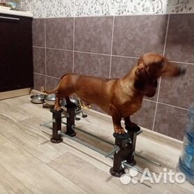 Тренажер для собак для отработки выставочной стойки