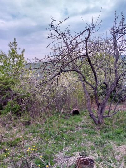 Дача 25 м² на участке 11 сот.