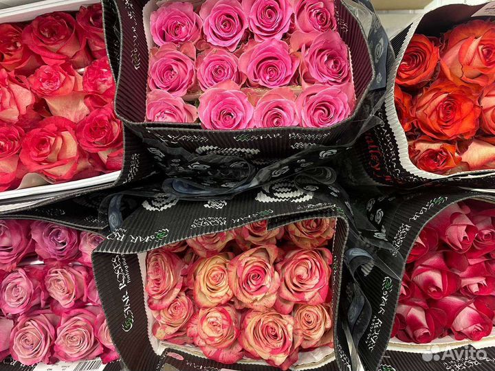 Розы оптом
