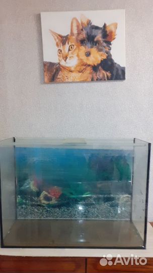 Аквариум