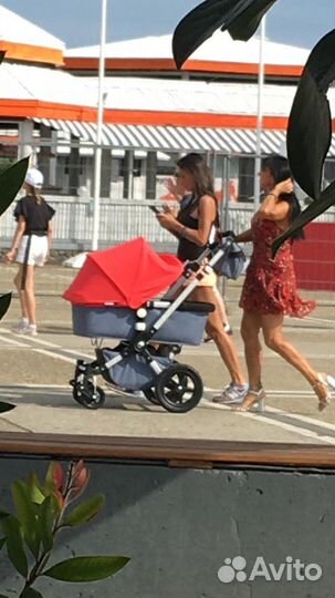 Коляска boogaboo chameleon