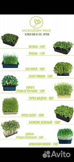 Микро-зелень Продажа