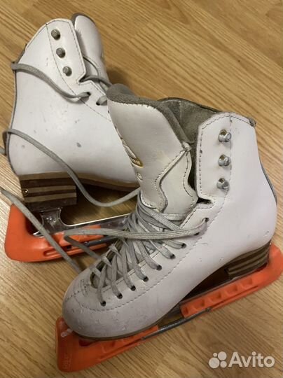 Фигурные коньки jackson elle 1с