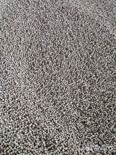 Продам горох сухой