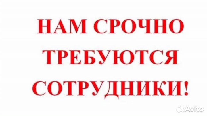 Разнорабочий (минимальный опыт)