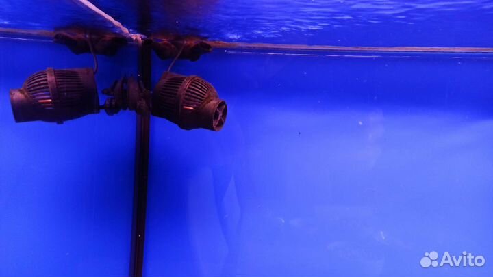 Аквариум 480 литров