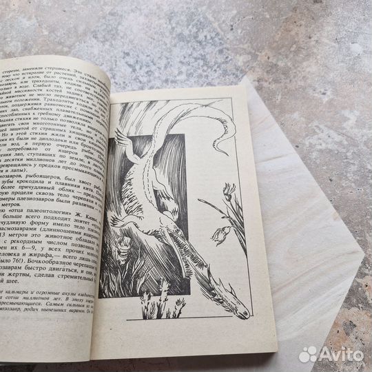 Шанс для динозавра. Кондратов. 1992 г