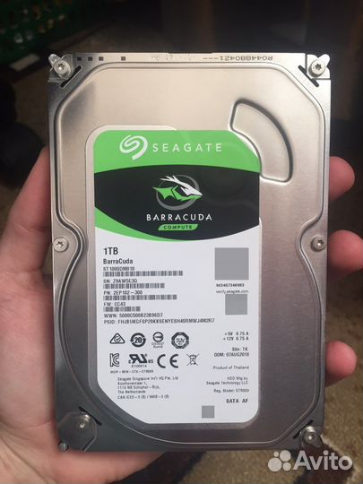 Жесткий диск