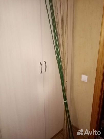 Шпалеры - подпорки для растений