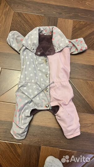 Одежда для маленьких собак