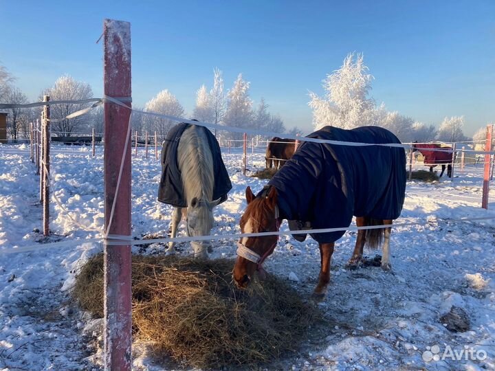 Постой для лошадей
