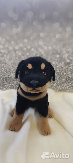 Ротвейлер игрушка