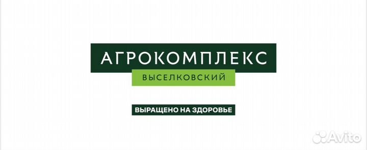 Продавец (ул. Ленина 59)