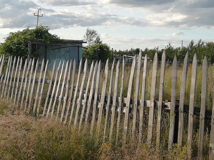 Участок 10 сот. (СНТ, ДНП)