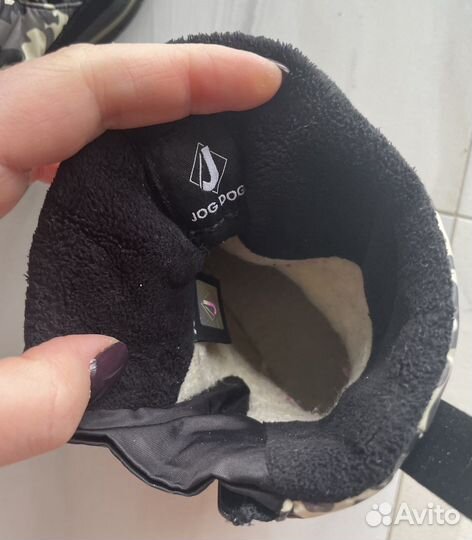 Зимние сапожки jog dog